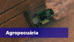 Agropecuária